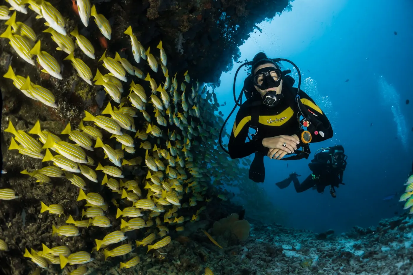 Aquarium water scene — investigate unusual tank odors early